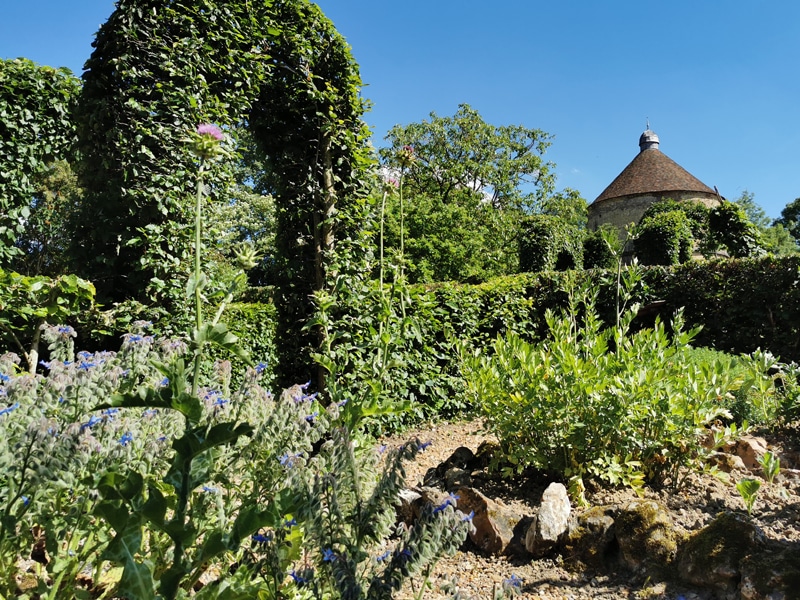 Apprentis herboristes