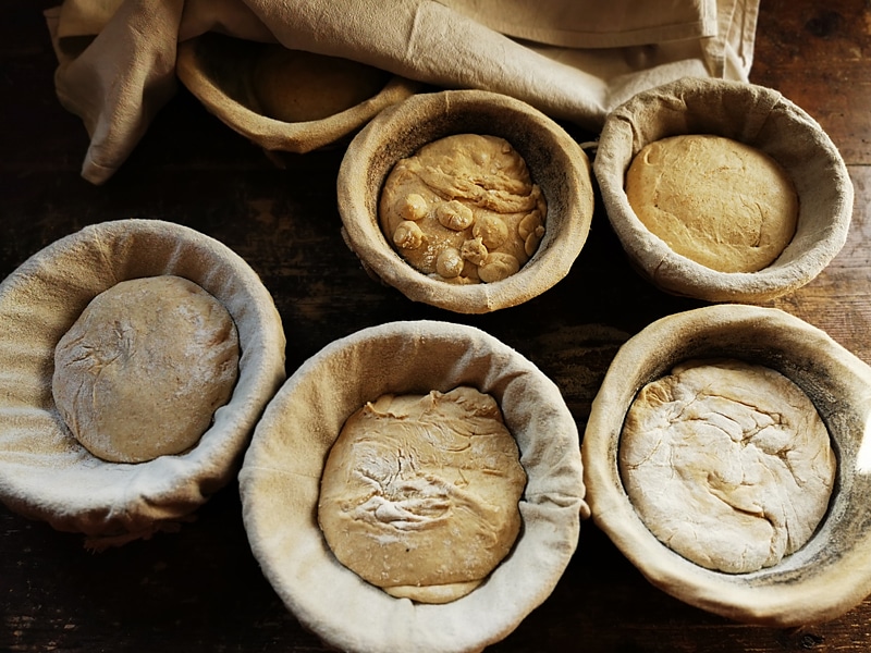 Apprentis boulangers